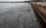 В Керчи на набережной разлив неизвестной жидкости (ВИДЕО)