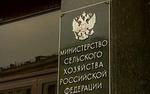 Минсельхоз недоумевает из-за интереса СМИ к фотографии министра ФОТО