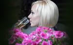 Во Франции задержаны преступники, укравшие вина на миллионы евро