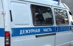 Под Рязанью ищут двух пропавших школьниц 10 и 11 лет