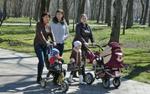 Синоптики обещают воскресное потепление до + 12°C