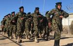 Американские военные возмущены эталоном армейской прически