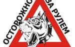 Щенок за рулем «Жигулей» протаранил две иномарки