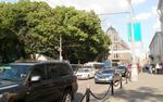 Столичные власти вводят бесплатную парковку в центре города