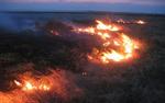 В Хакасии степной пожар уничтожил пять домов