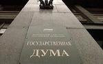Госдума не будет направлять наблюдателей на референдумы в Донецк и Луганск