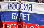 Госдума ввела "уголовку" за системные беспорядки на митингах