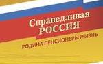 Омские эсеры переизбрали Мизулину своим председателем
