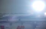 В Москву отменены большинство рейсов Air France