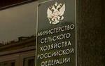 Минсельхоз: проблема дефицита ряда продуктов будет решена