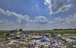 Малайзия надеется на помощь РФ в расследовании ЧП с MH17