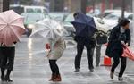 В Москве объявлено штормовое предупреждение