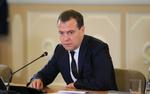 Медведев требует проверить обеспечение многодетных семей землей