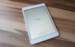 iPad Папы Римского продан за 40 тысяч долларов