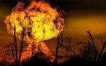 У отделения милиции во Львове прогремел взрыв