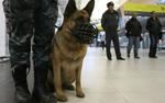 На территории керченской автостанции искали бомбу