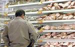 Конец продуктового ига