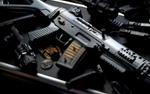 В Омске школьники украли у физрука винтовку, которую он использовал на уроках