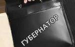 Александр Козлов избран губернатором Амурской области