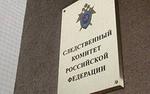 СКР назначил посмертную психолого-психиатрическую экспертизу  Георгадзе