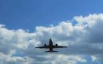 Версия крушения Boeing в Ростове-на-Дону: мог замерзнуть штурвал