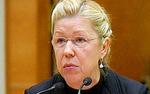 Мизулина призвала считать применение Интернета отягчающим признаком преступления