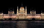 Евродепутат от Венгрии: надо отвадить беженцев свиными головами