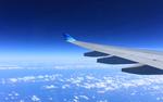 Стала известна причина, по которой запросил аварийную посадку Airbus А320