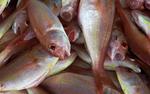 Специалисты рассказали, какие продукты опаснее всего покупать на рынках