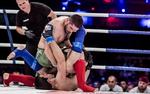 Определились все участники чемпионата России по ММА от УФО