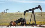 Новак: в России существенно сократились объемы добычи нефти