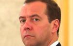 Медведев оценил масштабы киргизской экспансии на российском рынке