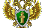 Самые криминальные российские регионы назвала Генпрокуратура