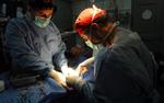 Хирурги из США успешно разделили сиамских близнецов с общим черепом