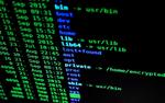 В России планируют ввести обязательный полис информационного страхования
