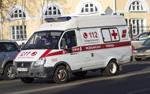 Стая бродячих собак загрызла в Подмосковье мужчину и ранила женщину