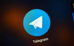В ООН сочли блокировку мессенджера Telegram в России нарушением прав человека