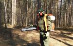После таяния снега  в пермских городских лесах  начнется противоклещевая  обрабо