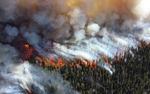 Более тысячи человек пропали без вести при пожарах в Калифорнии