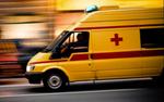 ДТП на ВДНХ: маршрутка врезалась в дерево