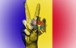 На выборах в Молдавии победила пророссийская партия социалистов