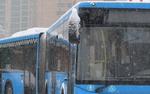 "КамАЗ" столкнулся с автобусом в подмосковных Мытищах