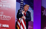Американские политики призвали Трампа одуматься и пойти на диалог с Россией