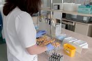 Ученые предупредили россиян об угрозе распространения опасных тропических болезней