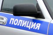 В Москве иномарка сбила мать с 5-летним сыном