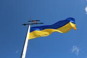 МВД Украины: националисты вывезли оружие из Золотого