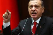 Эрдоган порекомендовал Макрону проверить мозг