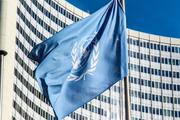 Делегация из Украины сорвала выступление представителя России в ООН