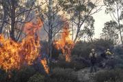 Астронавты на МКС увидели горящую Австралию и ужаснулись