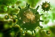 В КНР вспышка опасного коронавируса унесла вторую жизнь